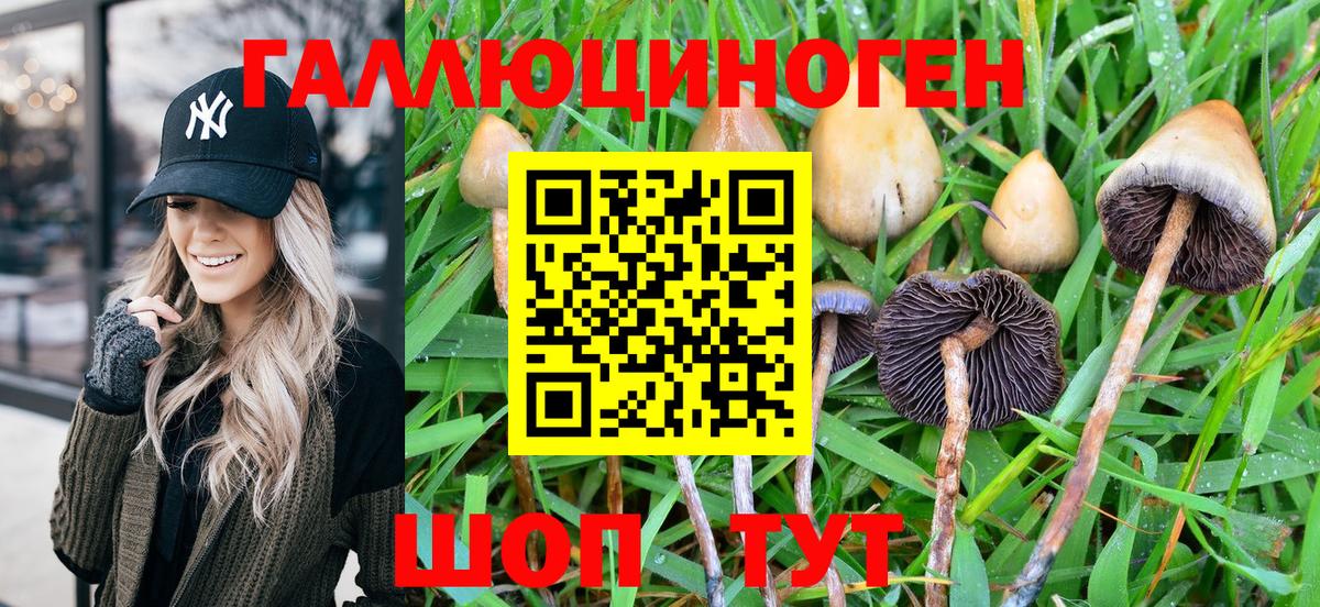 Псилоцибиновые грибы Magic Shrooms  Галлюциногенные грибы Magic Shrooms  Вход с VPN  Калининград 